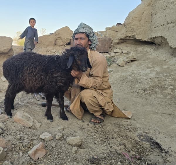 Şükür kurbanlığı siyah koyun ve sahibi, Afganistan'da kerpiç evler önünde